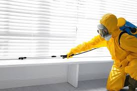 Professional Pest control in Moreno Valley, CA